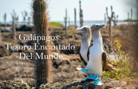 Galápagos: Tesoro Encantado Del Mundo