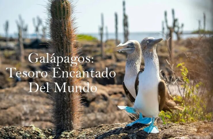 Galápagos: Tesoro Encantado Del Mundo